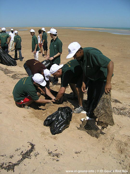 Green Gouna Day Beach 134